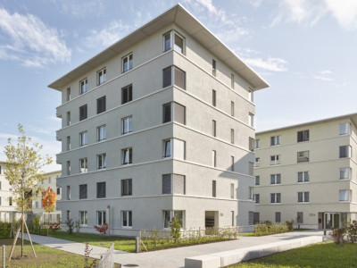 Neubau Areal Buhof Rüti ZH Trümpi AG Bauunternehmung